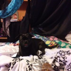 Meet your Posher, Connie